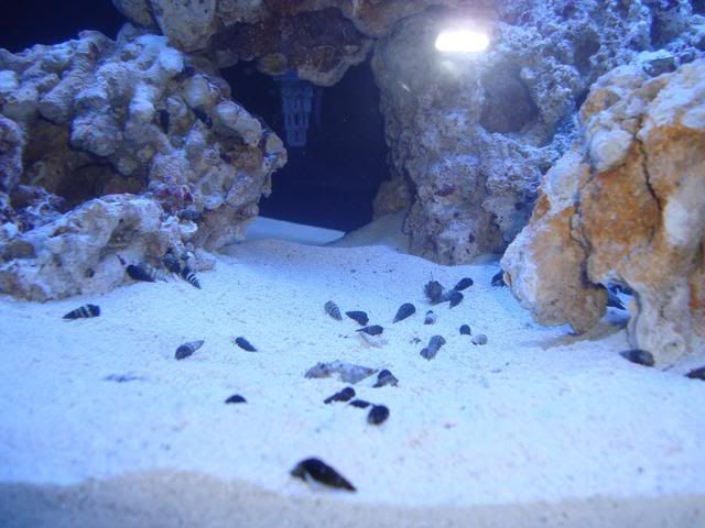 tank035.jpg