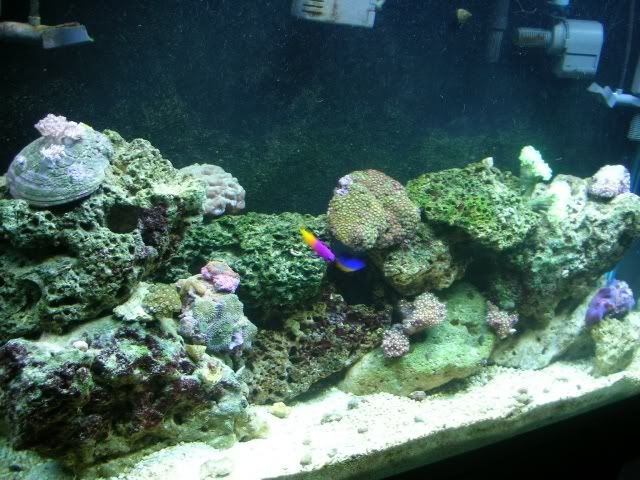 45gal17nov06.jpg