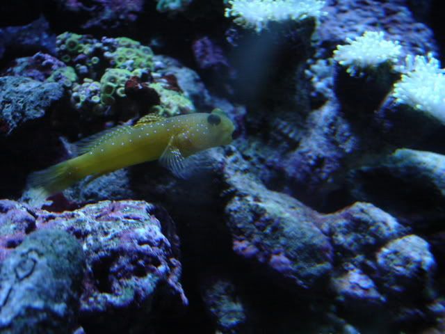 DSC09024.jpg