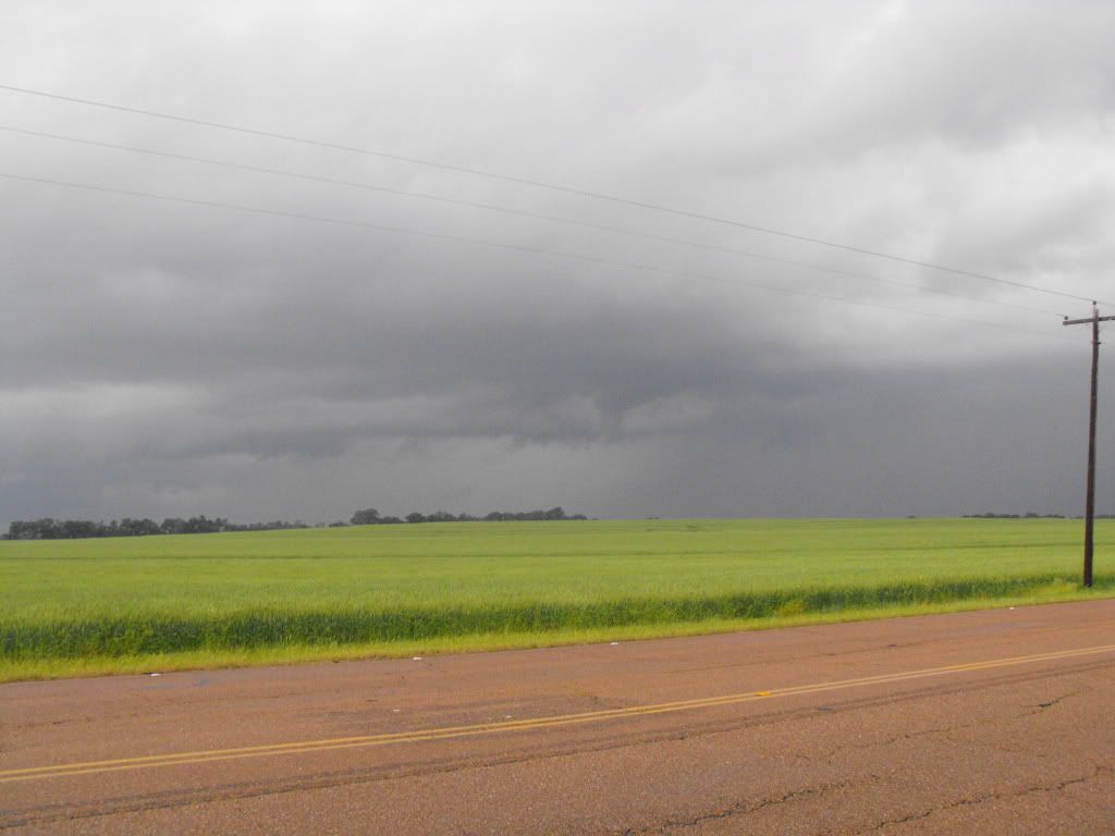 DSCF7238.jpg
