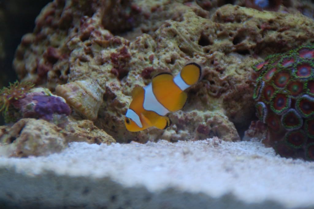 DSC_0028.jpg