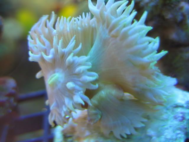 2-27-09016.jpg