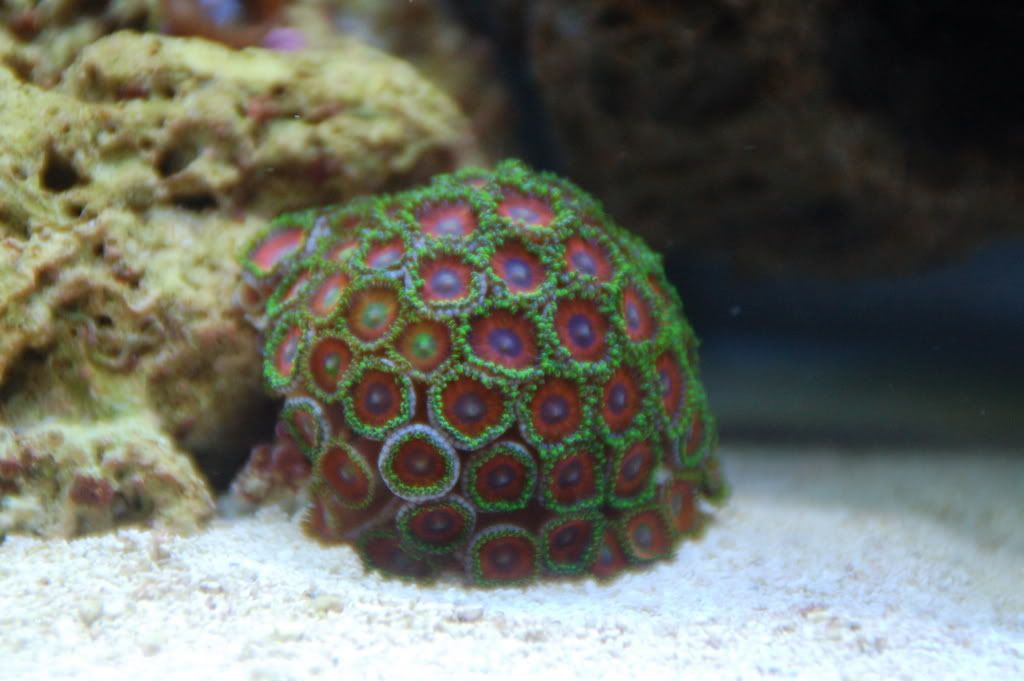 DSC_0001.jpg