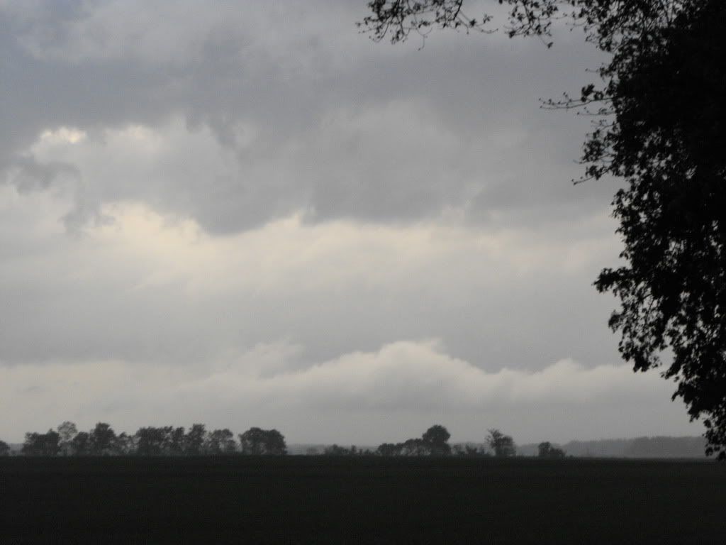 DSCF7372.jpg