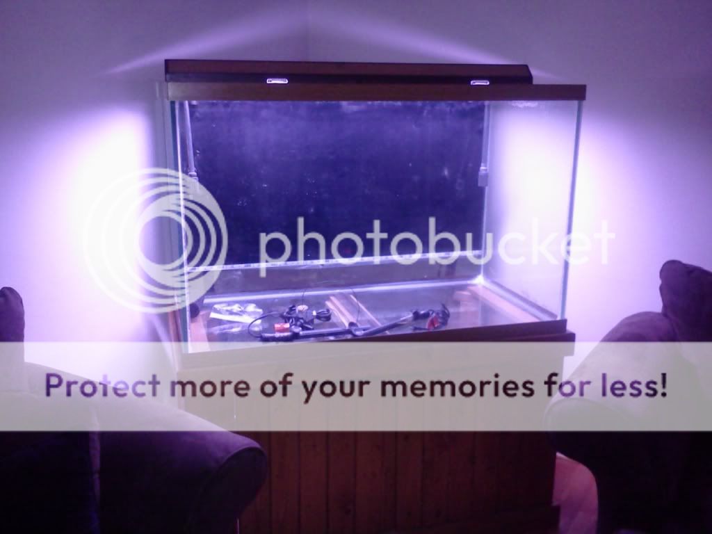 0128120040d-1.jpg