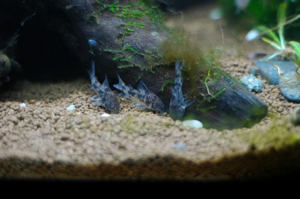 DSC_0664.jpg