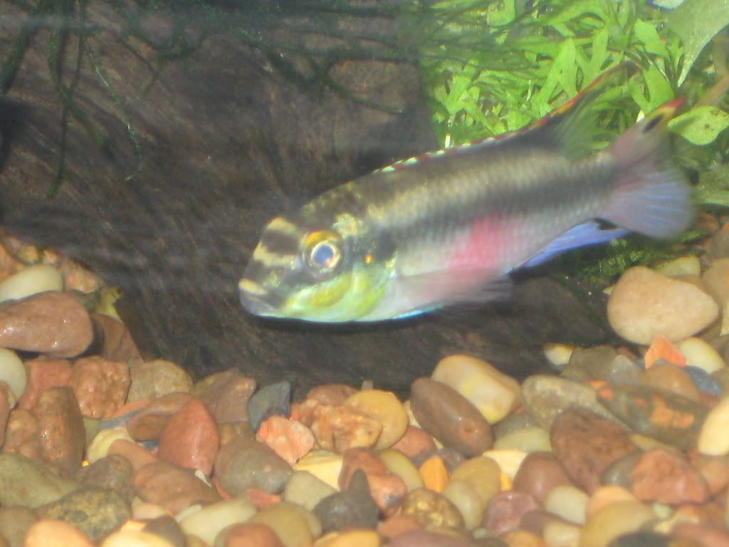IMG_1135.jpg