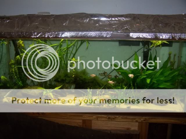 09-18-09006.jpg
