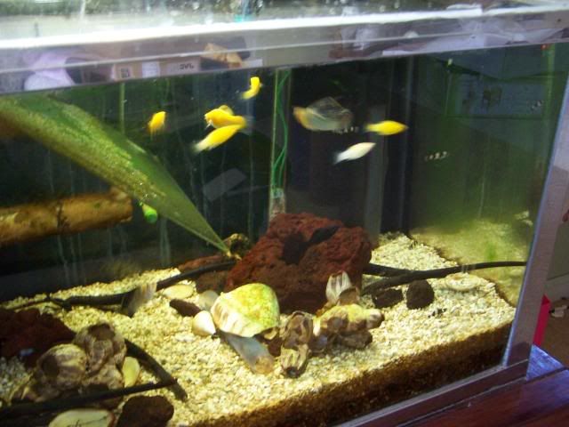 picture003.jpg