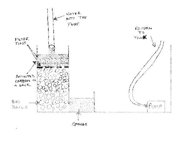 Sump.jpg
