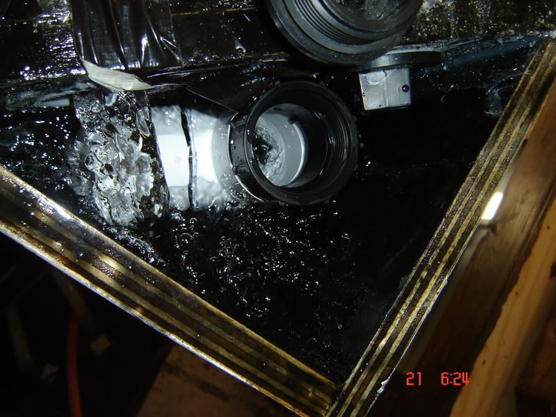 DSC02780.jpg