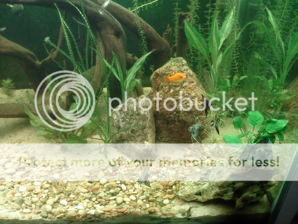 0405122351b.jpg