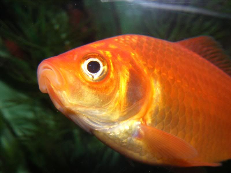 DSCF4307.jpg