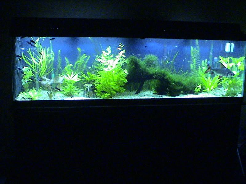 DSC05254.jpg