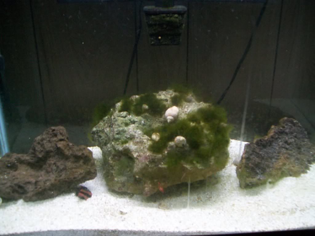 100_0522.jpg