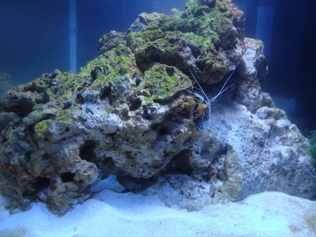 tank040.jpg