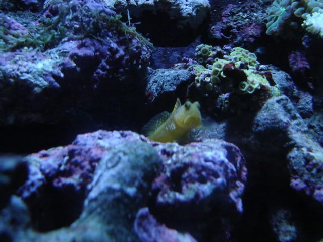 DSC09017.jpg