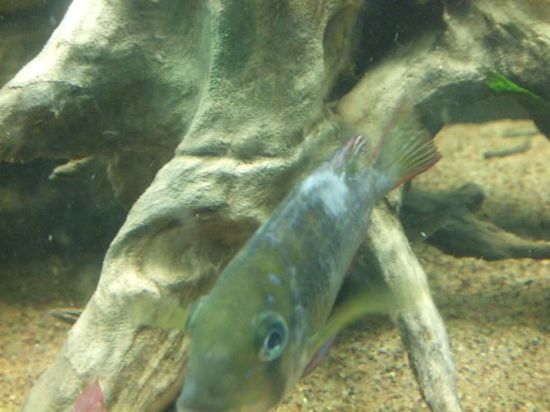 DSCF3663.jpg