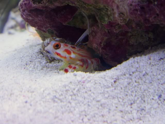 100_3831.jpg