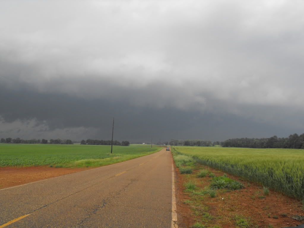 DSCF7178.jpg