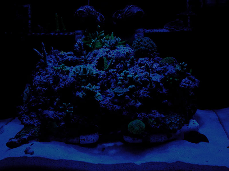 3187430738_d6e4cc4e4b_o.jpg