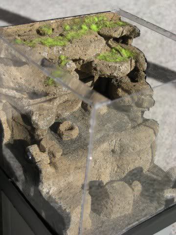 g_360x480.jpg