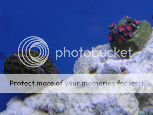 P1010017-13.jpg