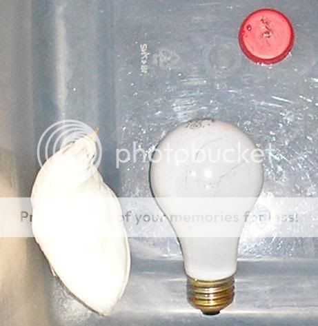 ButtonBulb2-9-09.jpg