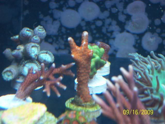 100_2264.jpg