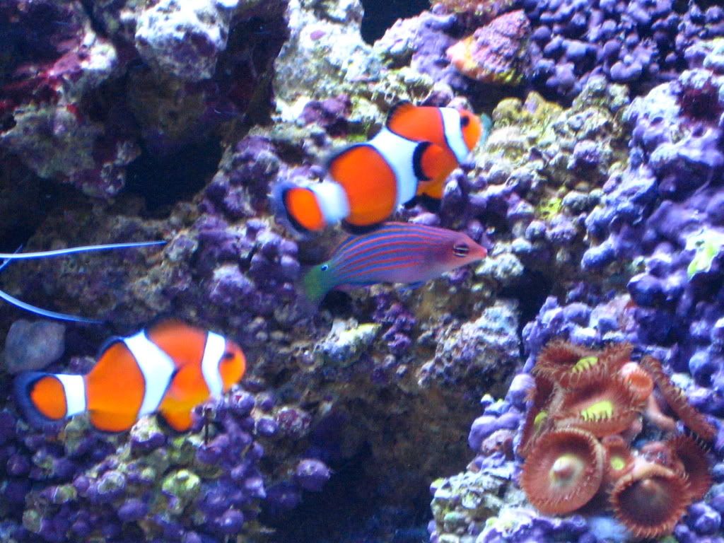 IMG_1101.jpg