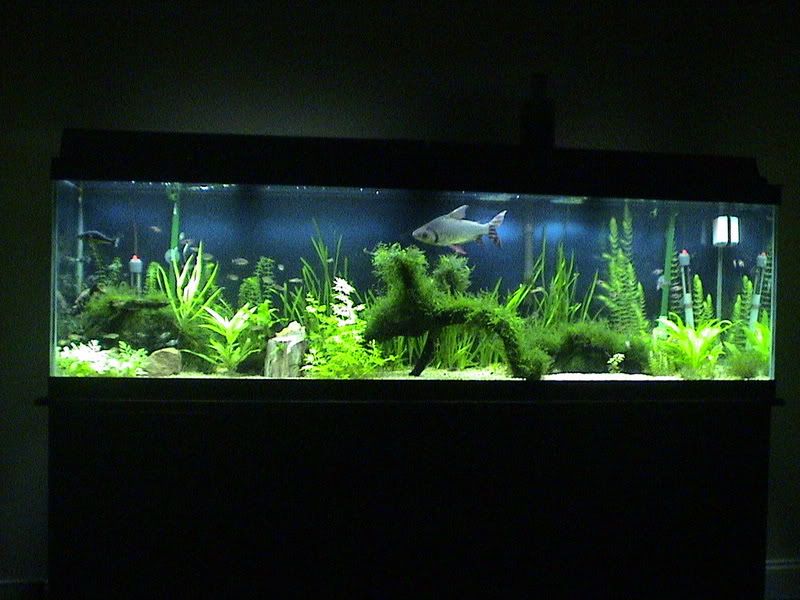 DSC05033.jpg