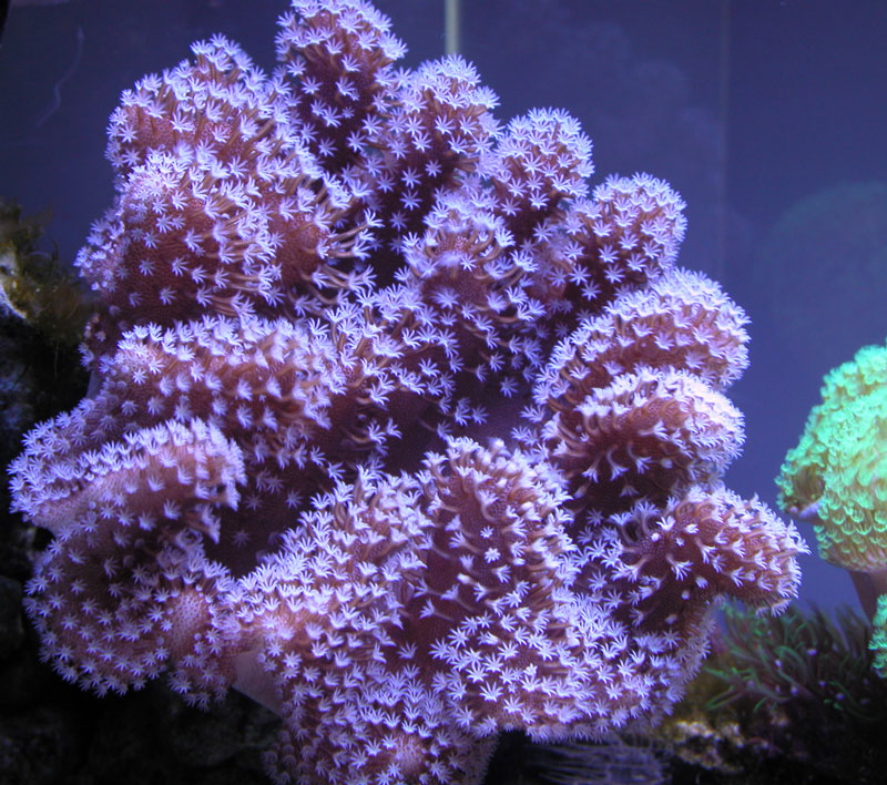 4773174358_612401ce76_o.jpg