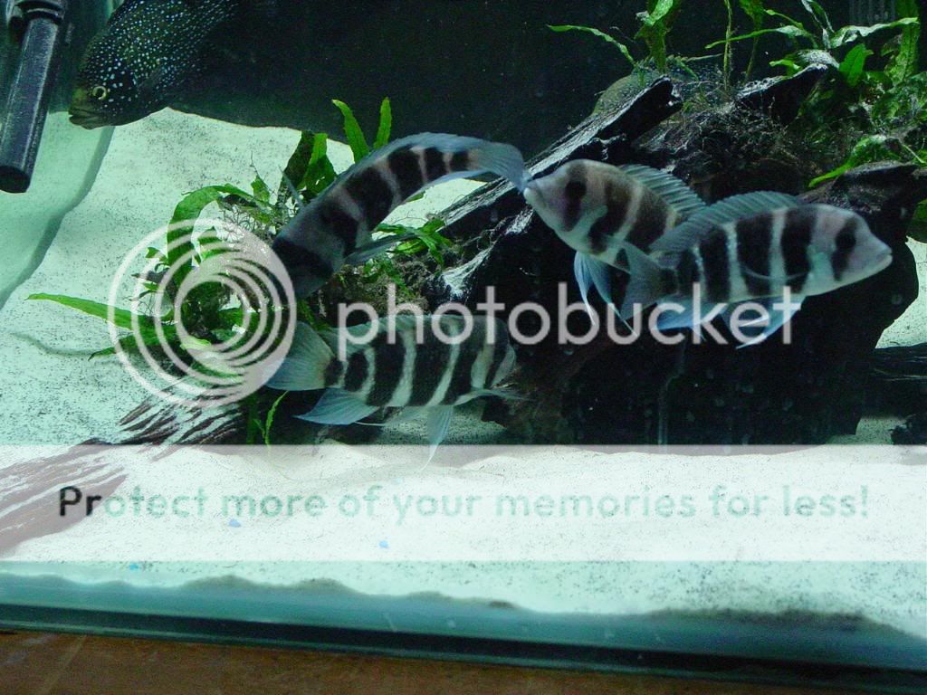 DSC07858.jpg