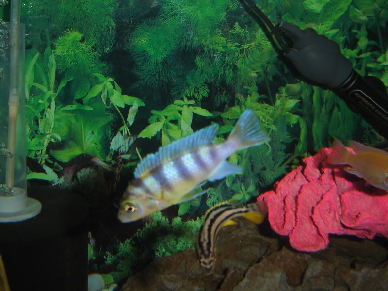 DSC03384.jpg