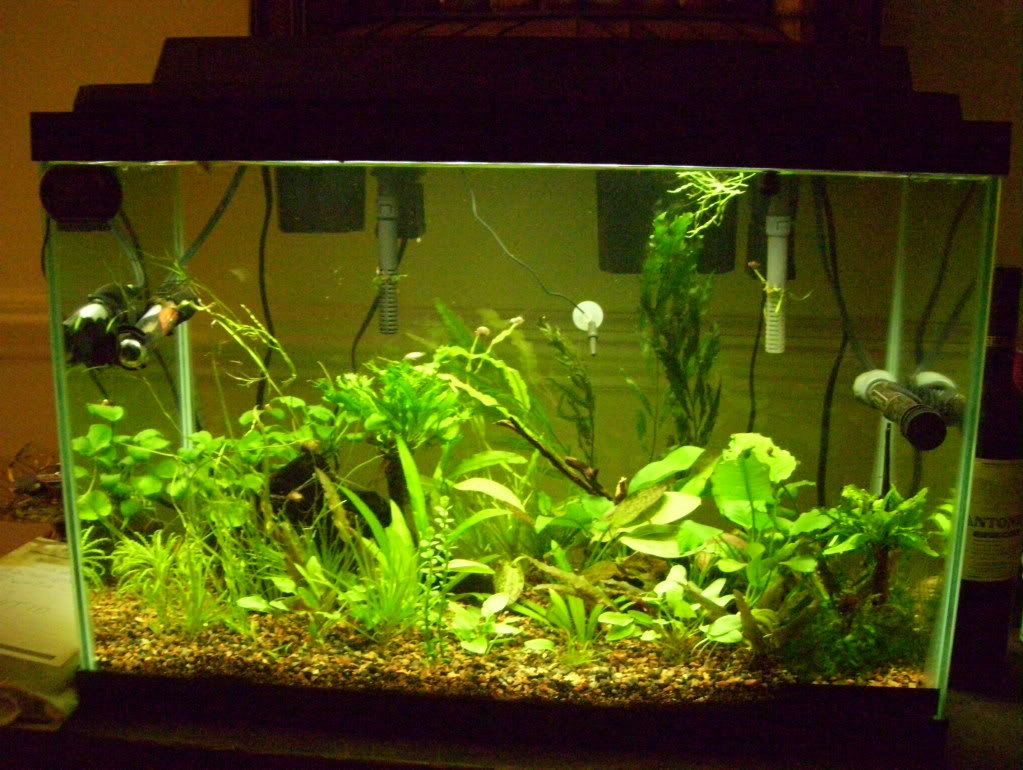 100_4332.jpg