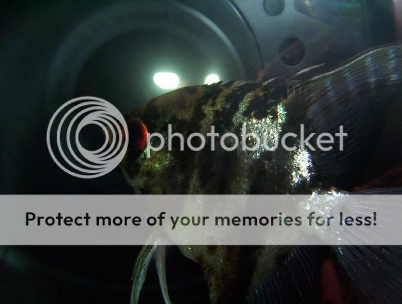 100_8519.jpg