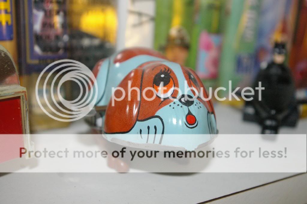 IMGP6737.jpg