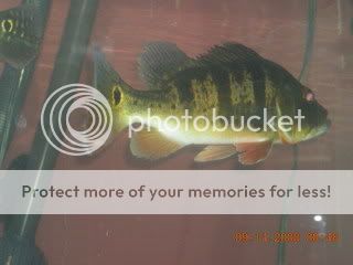 DSCN0977.jpg