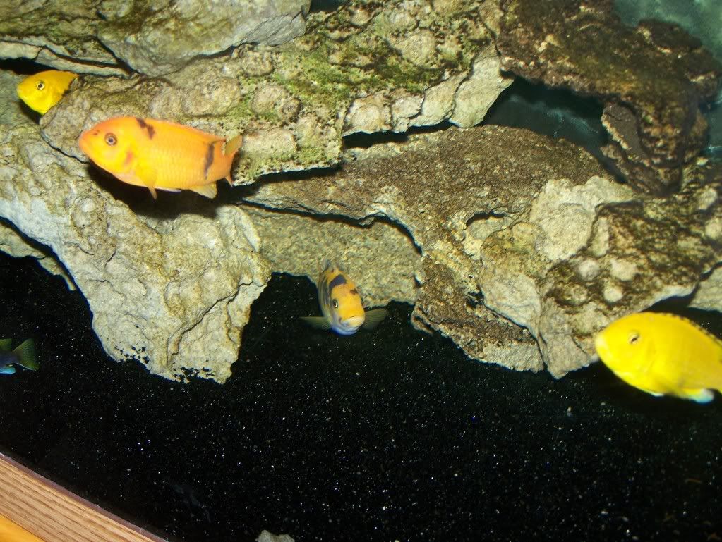 100_4038.jpg