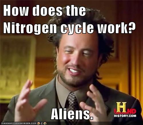 rITG6.jpg