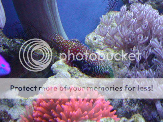 P1010081-1.jpg