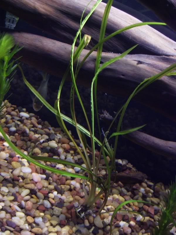 100_6068.jpg