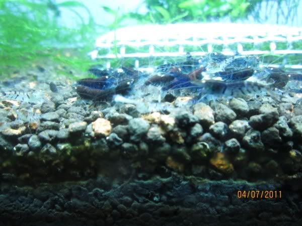 IMG_0221600x450.jpg