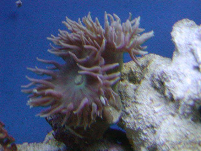 P1010008-20.jpg