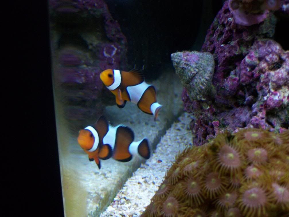 100_0716.jpg