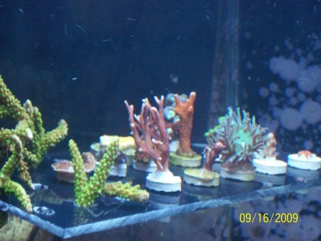 100_2267.jpg