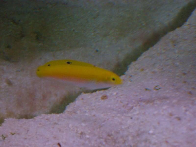 DSC00154.jpg