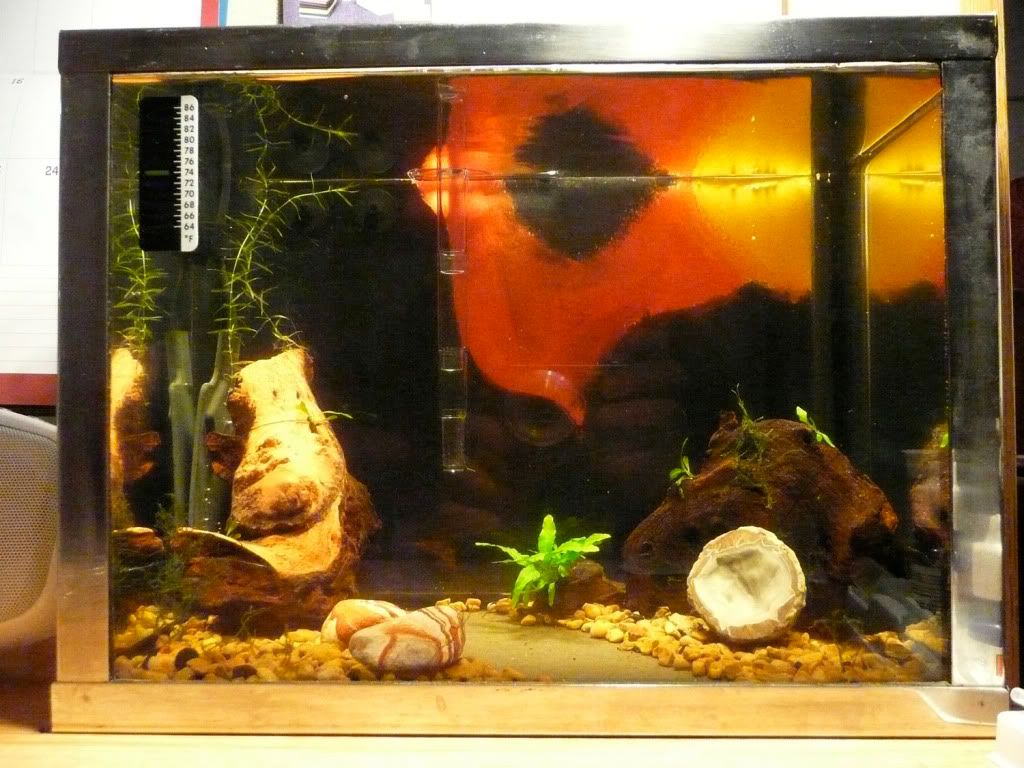 3gallon2.jpg