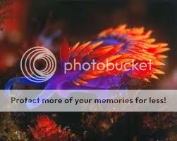 images-5.jpg