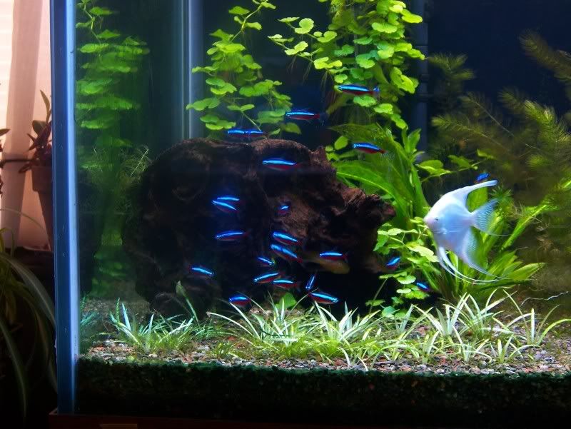 100_2355.jpg